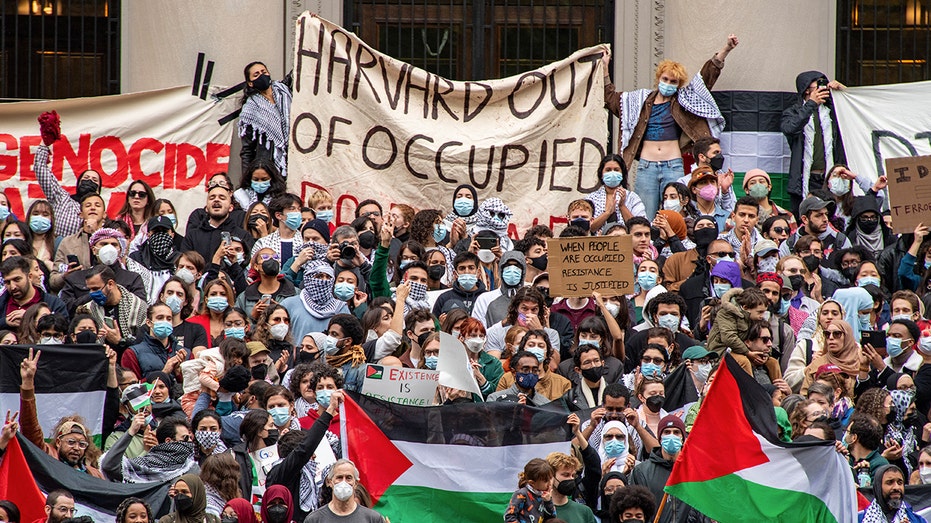 Harvard president calls students 'ignorant' on Israel-Palestinian conflict Hobart Accountants