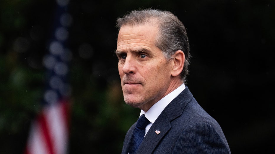 Hunter Biden trashes Democratic leadership, hails Gavin Newsom as party's 'greatest warrior' Hobart Accountants